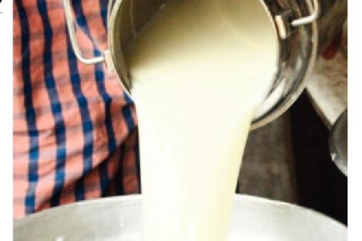 ఏపీ వార్తలు